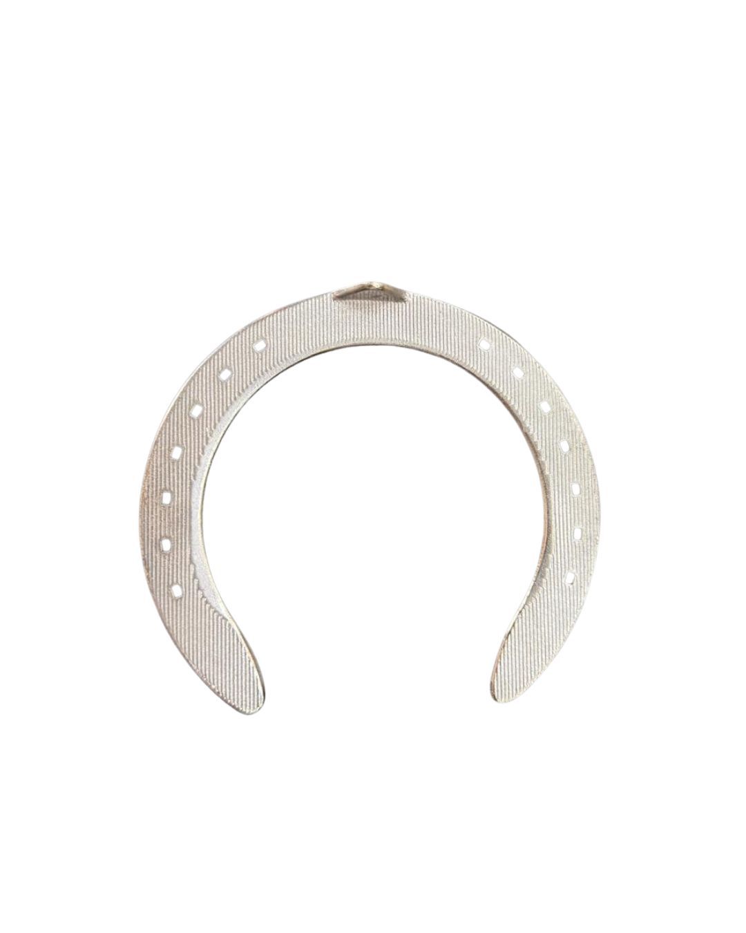 Professional Horse Shoe